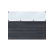 Plus Klink Profilzaun schwarz mit Glaselement 174 x 125 cm