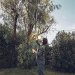 Fiskars PowerGear X Teleskop-Schneidgiraffe UP86 im einsatz am baum