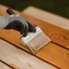 Picture for category Paints