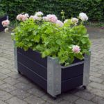 Plus Cubic rollender Blumenkasten 87 x 50 x 45 cm schwarz mit rosen auf Plastersteinen - schön!