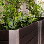 Plus Cubic rollender Blumenkasten 120 x 50 x 70 cm schwarz schöner Pflanzkasten für Heim, garten, Gastronomie, Ladengeschäft Ambiente