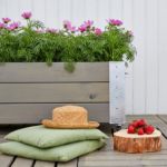 Plus Cubic rollender Blumenkasten 120 x 50 x 45 cm graubraun Pflanzkasten für terrasse und Freigelände. Gerne auch als Outdoor Deko Präsenter für Ladengeschäfte